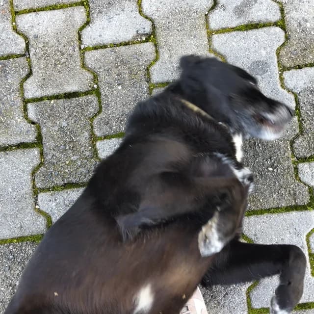 Zeynep